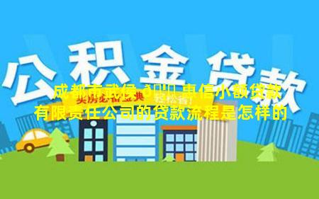 成都市武侯 🦟 惠信小额贷款有限责任公司的贷款流程是怎样的